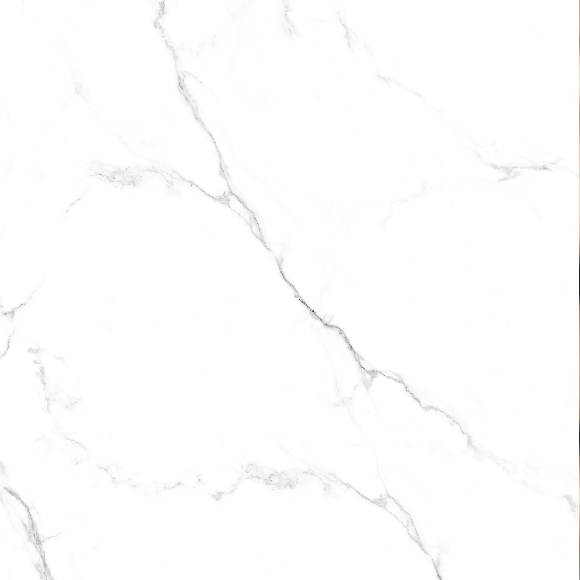 Statuario gris  60х60